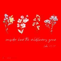 Boho Floral Consider How The Wildflowers Grow Motivational Santa Hat thumb 1