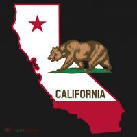 Bear Flag. California Republic State Flag Of California Sweatshirt thumb 3