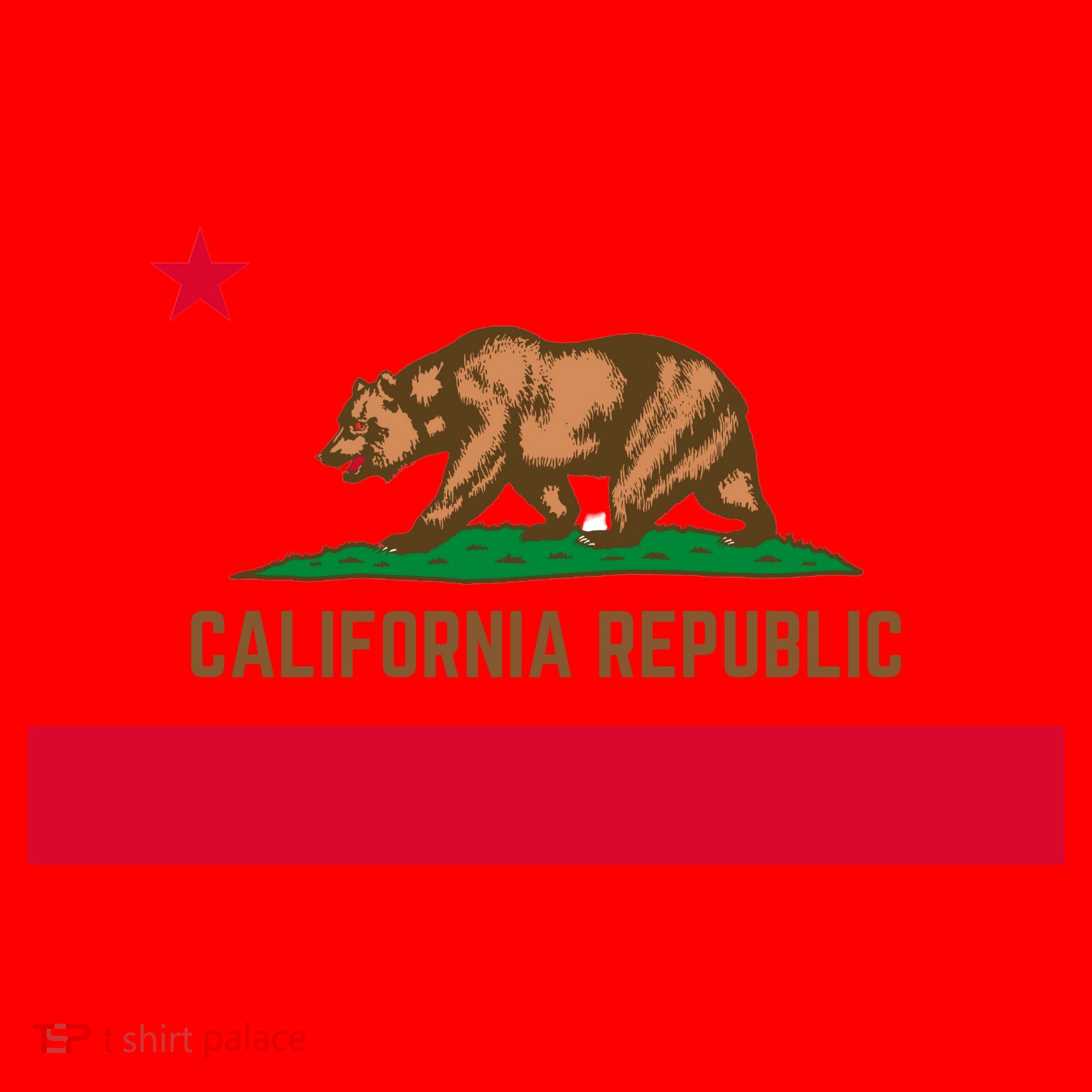 Bear Flag. California Republic State Flag Of California Santa Hat