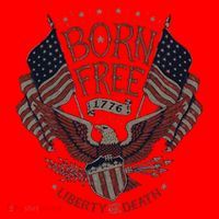 Born Free Eagle American Flag 1776 4th Of July Usa Santa Hat thumb 1