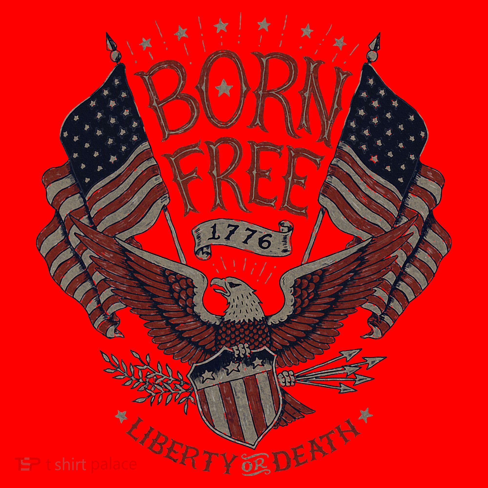 Born Free Eagle American Flag 1776 4th Of July Usa Santa Hat