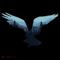Beautiful Flying Eagle Night Sky Forest Bird Silhouette Gift USA-Made Doggie Bandana thumb 2