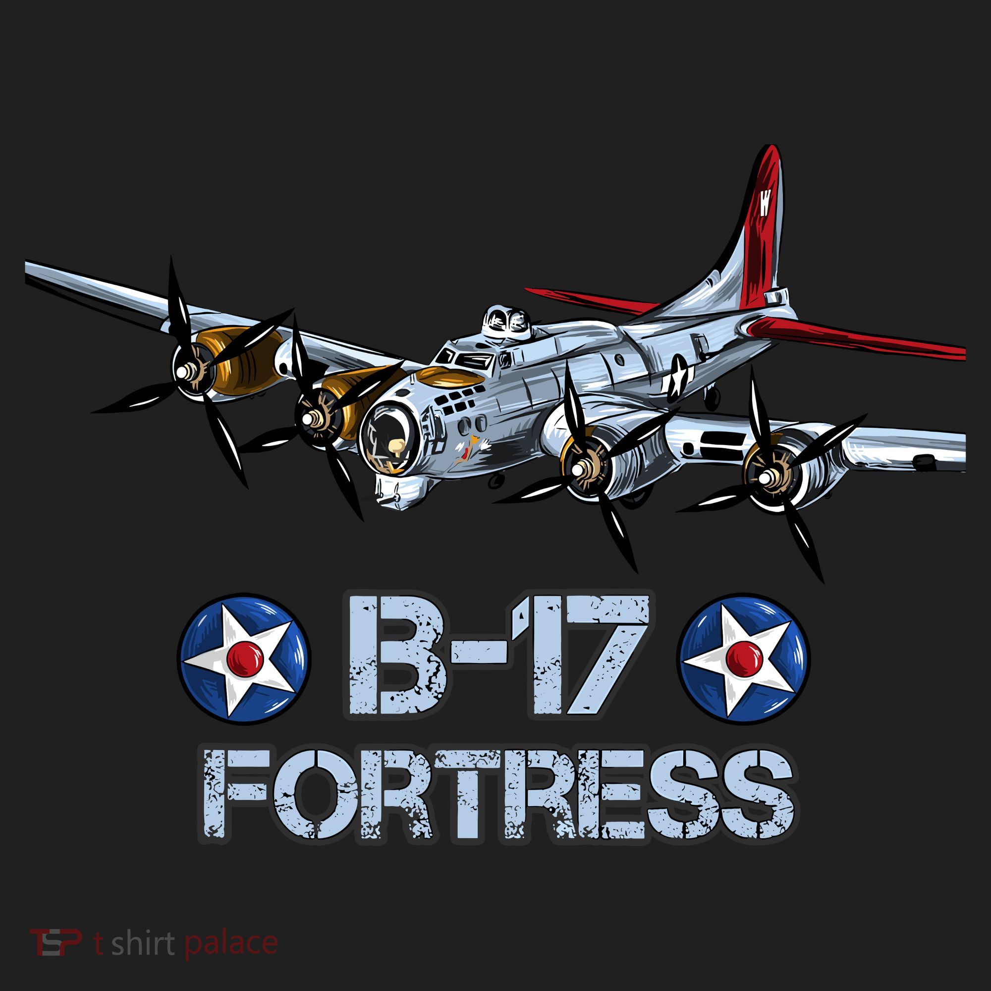 B17 Flying Fortress Bomber Beanie