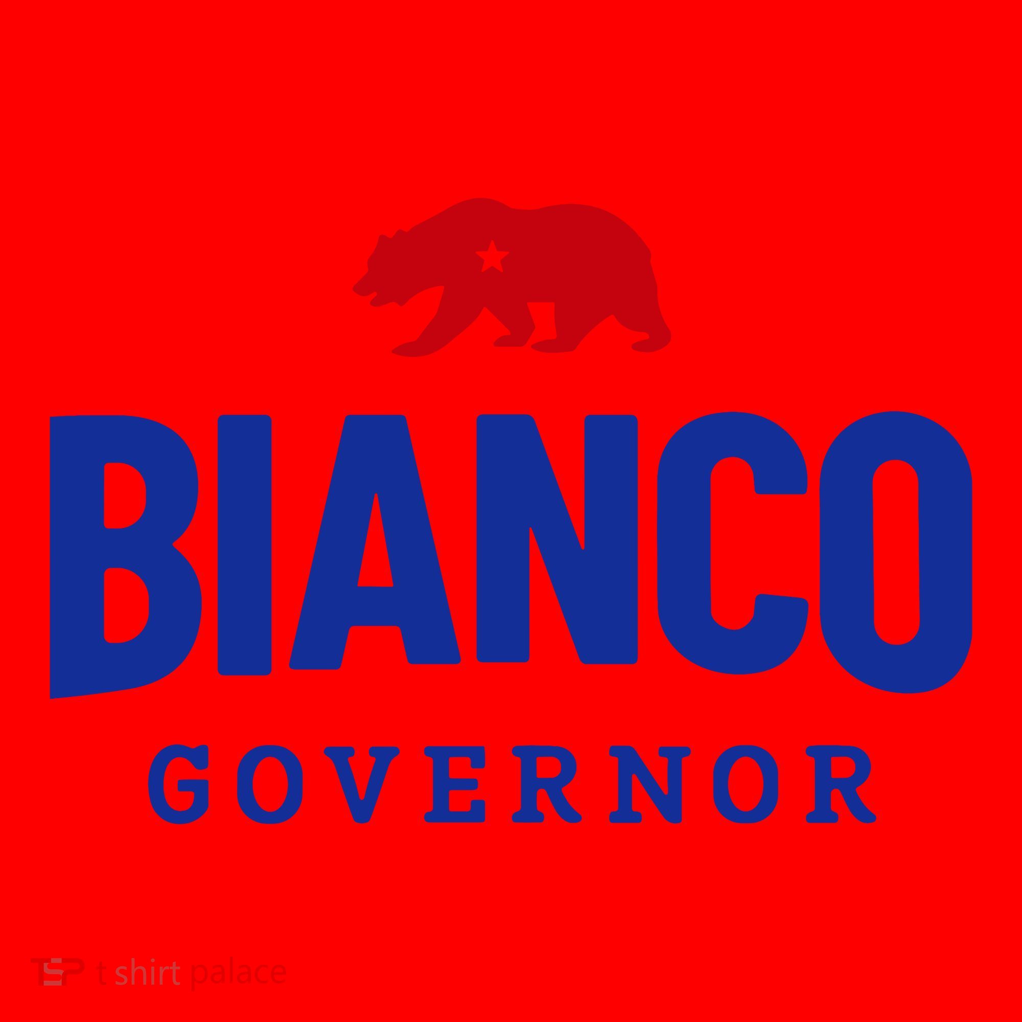 Bianco For Governor Santa Hat
