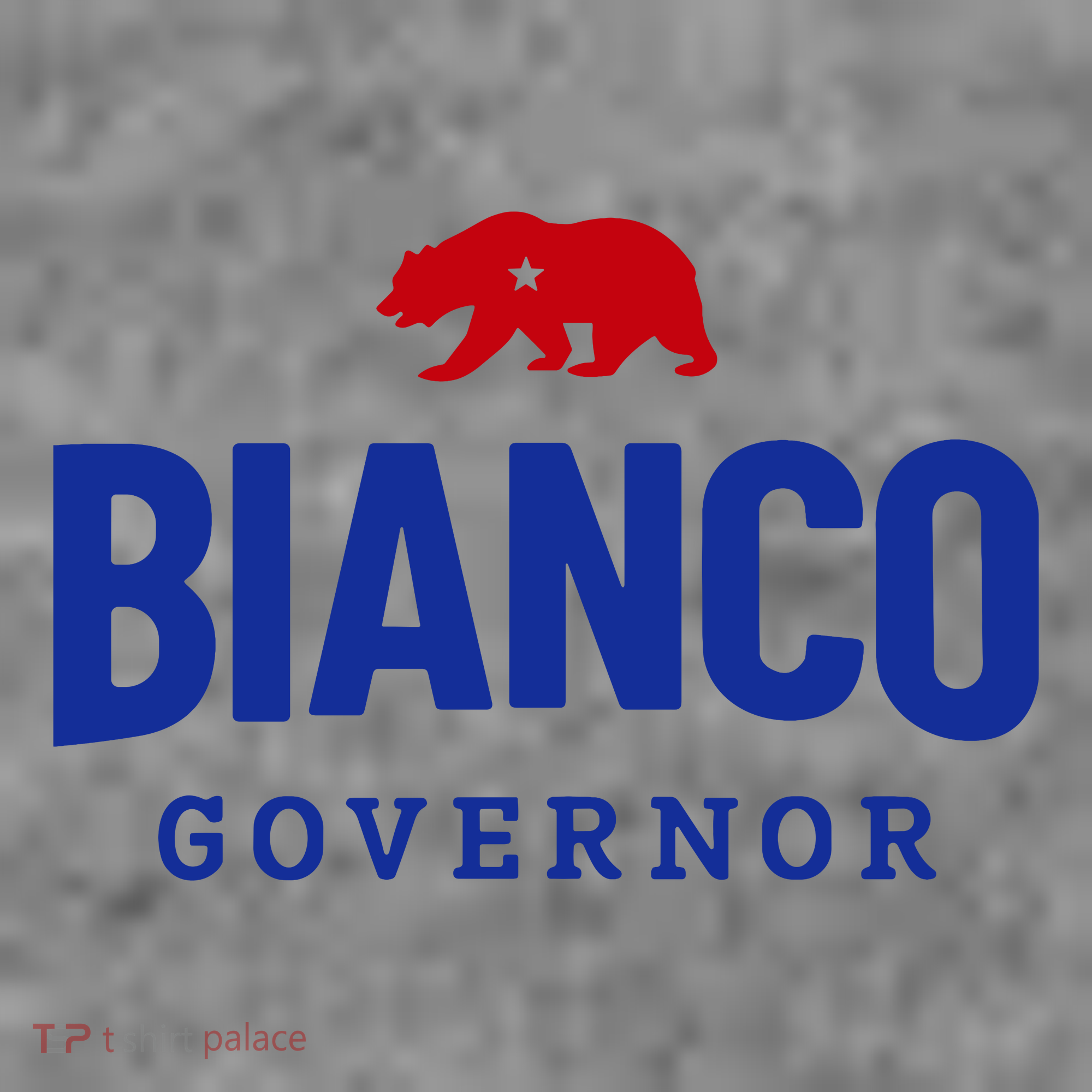 Bianco For Governor Toddler Hoodie