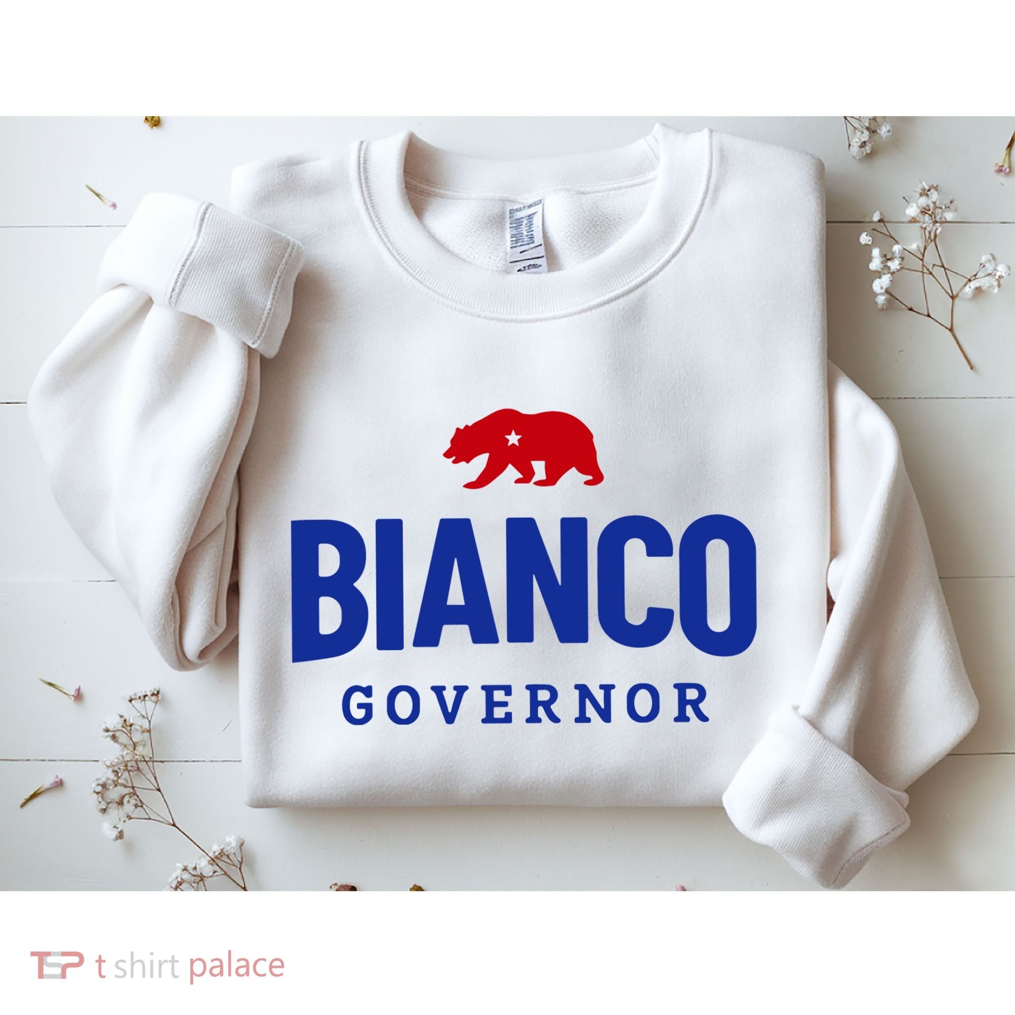 Bianco For Governor Sweatshirt