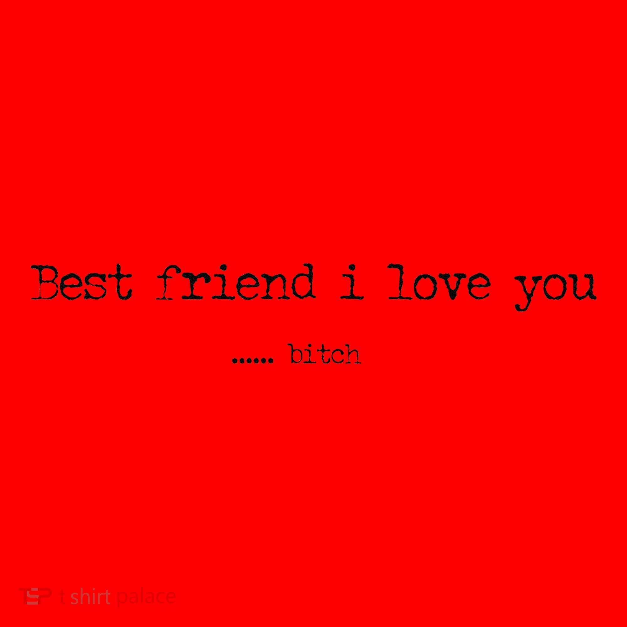 Best Friend I Love You Bitch Funny Santa Hat