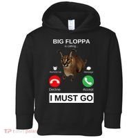Big Floppa Is Calling Funny Caracal Big Cat Meme Toddler Hoodie thumb 0