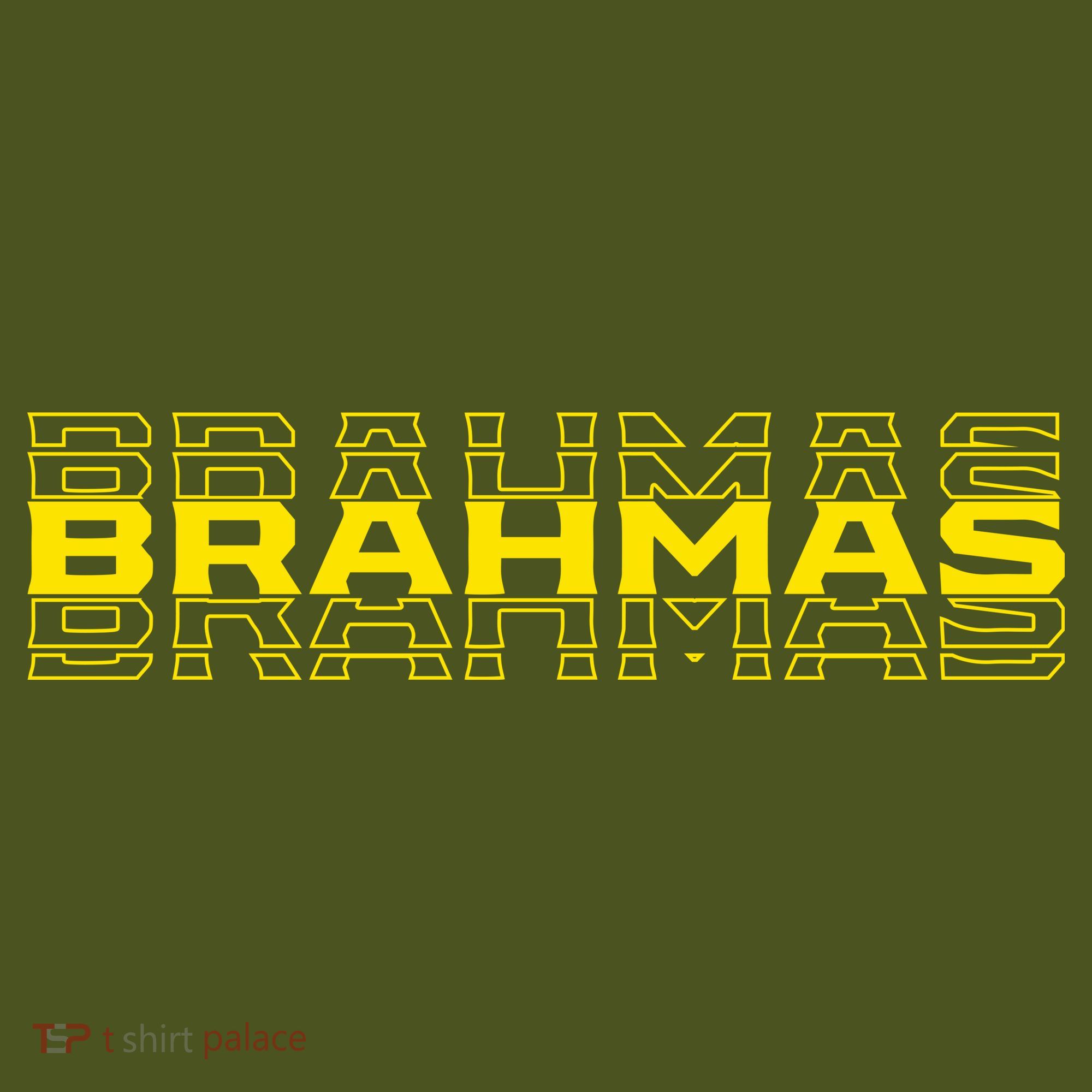 Brahmas Football Logo Kids Hoodie
