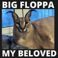 Big Floppa My Beloved Caracal Cat Meme Women's Tank Top thumb 5