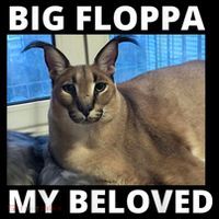 Big Floppa My Beloved Caracal Cat Meme Baby Bodysuit thumb 2
