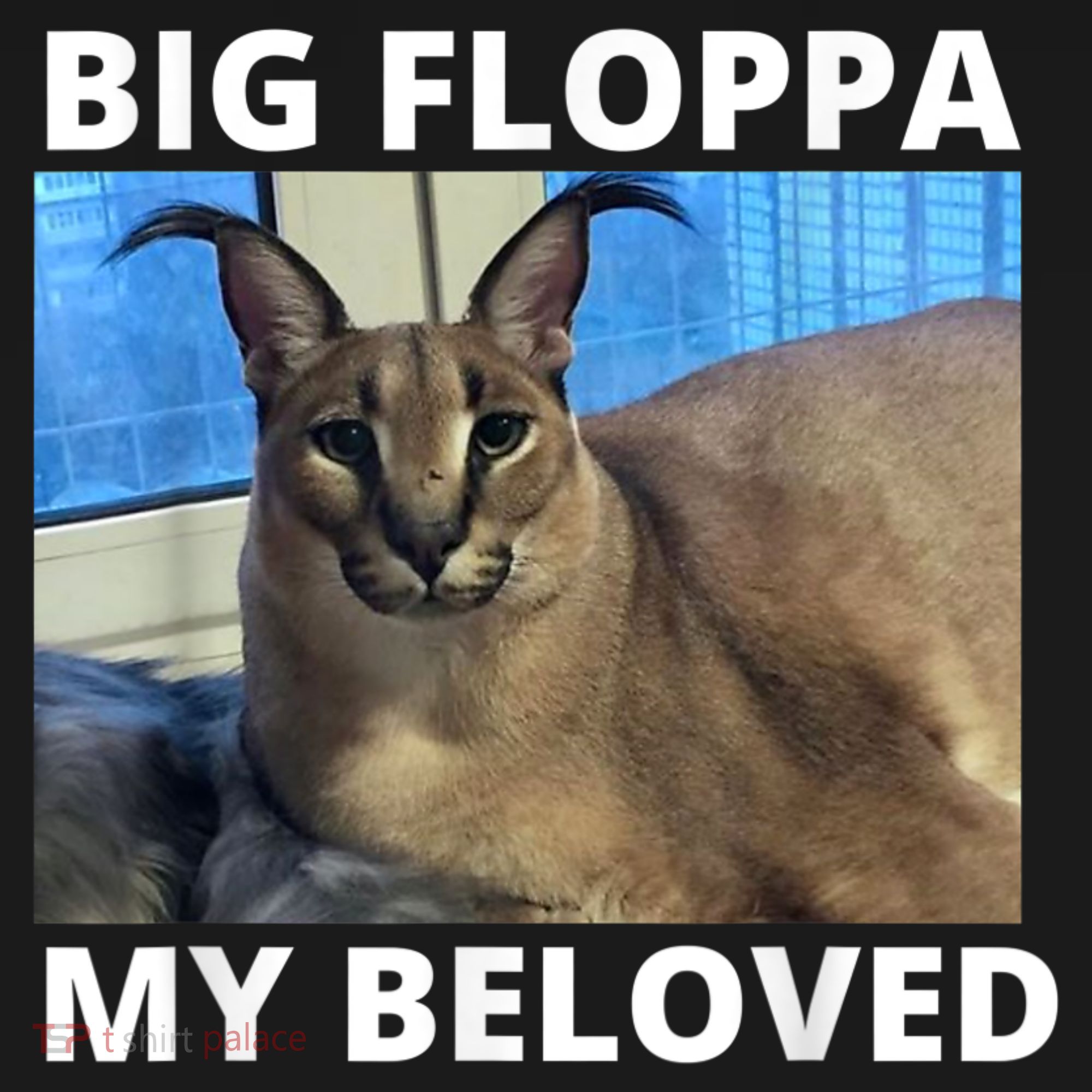 Big Floppa My Beloved Caracal Cat Meme Kids Sweatshirt