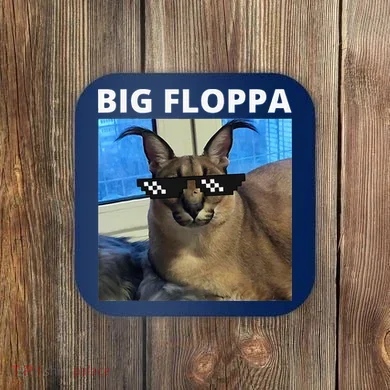 Coaster
