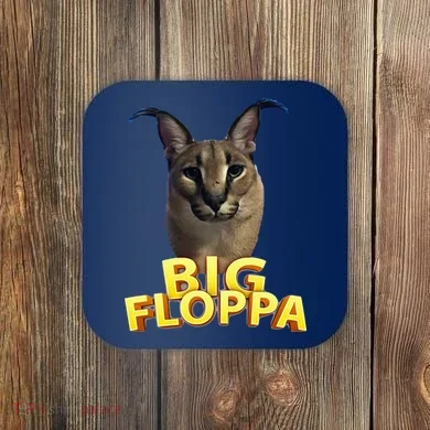 Coaster