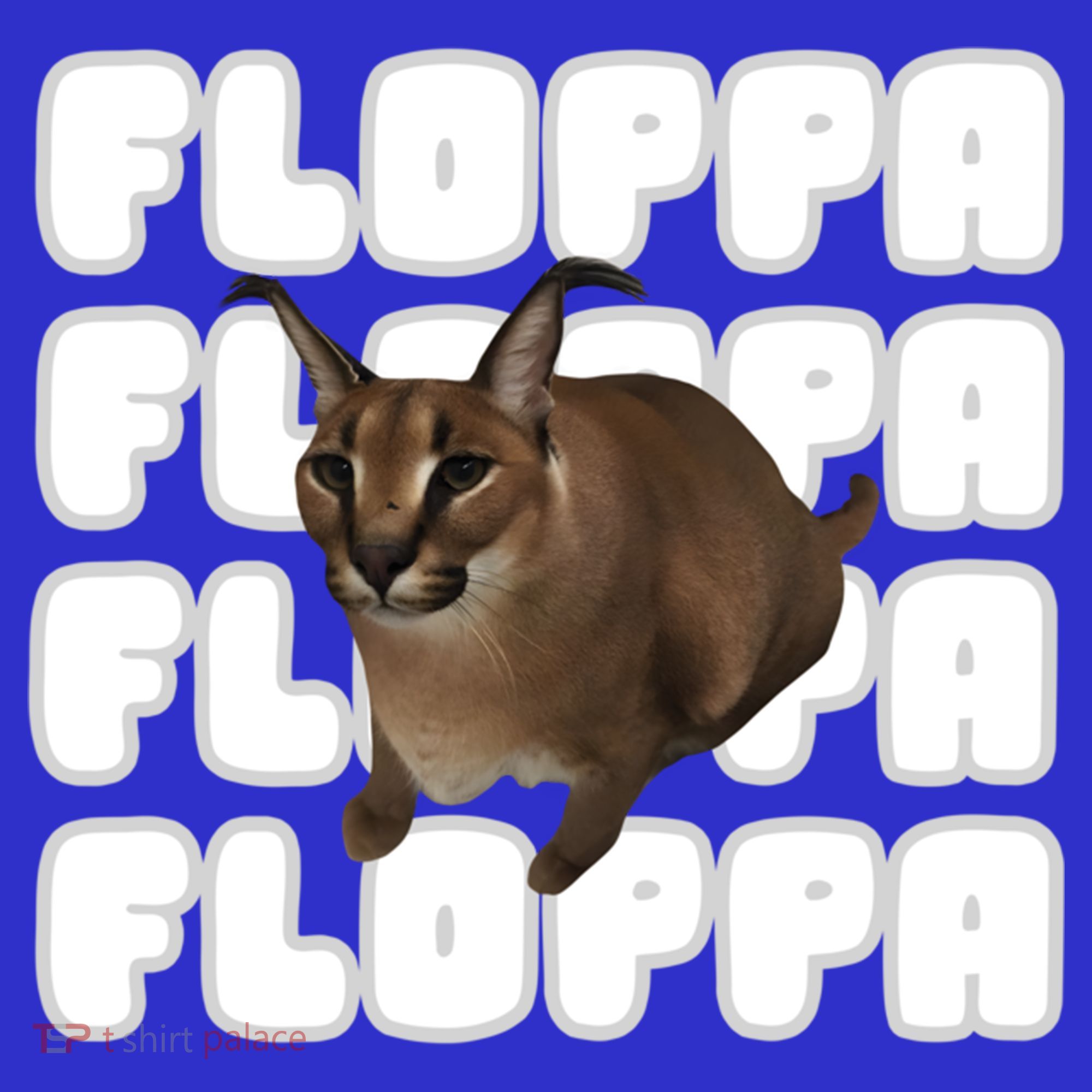 Big Floppa Meme Cat Gift Women's T-Shirt