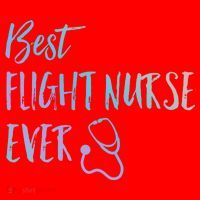 Best Flight Nurse Ever National Nurses Week Gift Santa Hat thumb 1