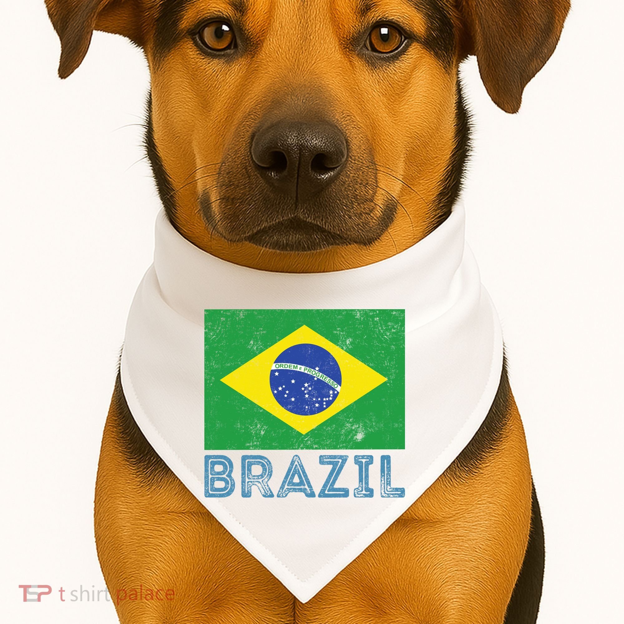 Brazil Flag Pride Graphic Apparel Ordem e Progresso USA-Made Doggie Bandana