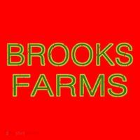 Brooks Farms Squad Family Reunion Last Name Team Cool Gift Santa Hat thumb 1