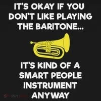 Baritone Funny Smart Baritone Player Kids Long Sleeve Shirt thumb 2