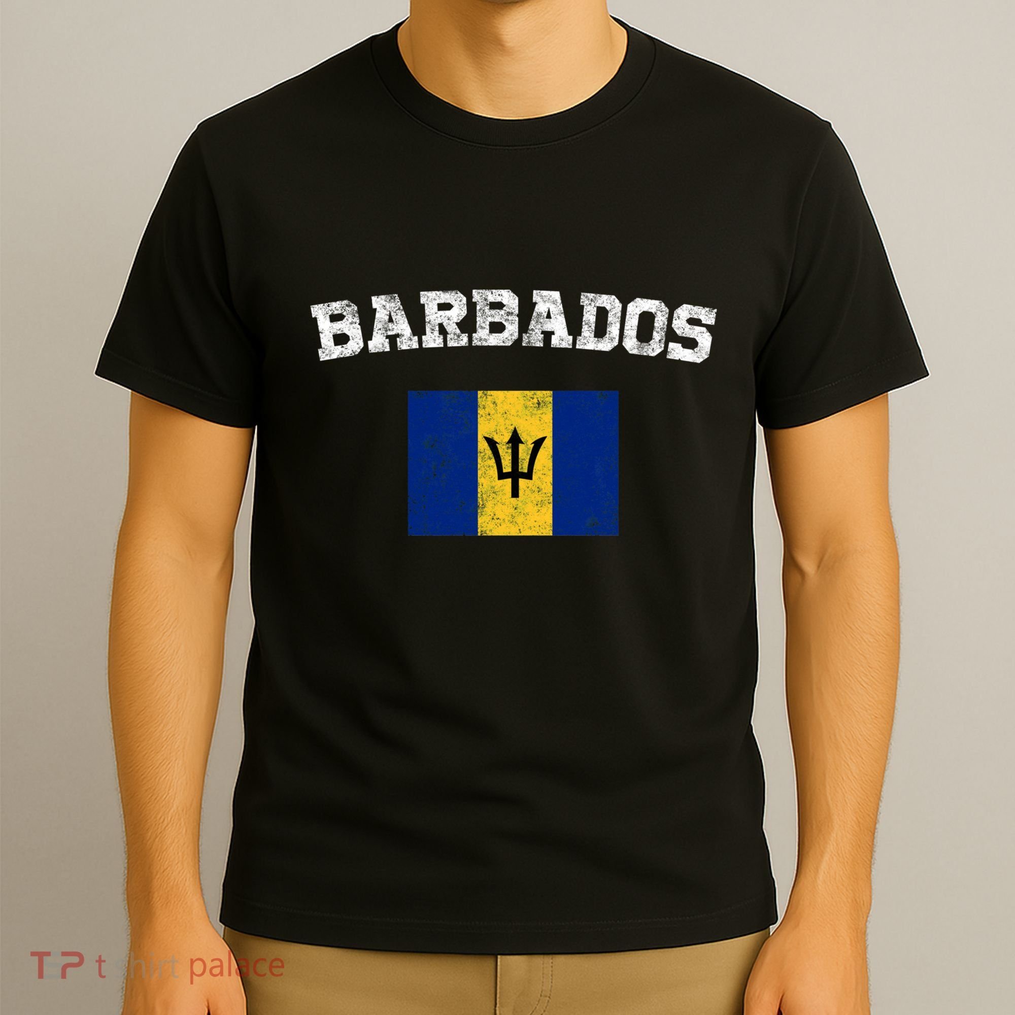Barbadian Flag Vintage Barbados T-Shirt