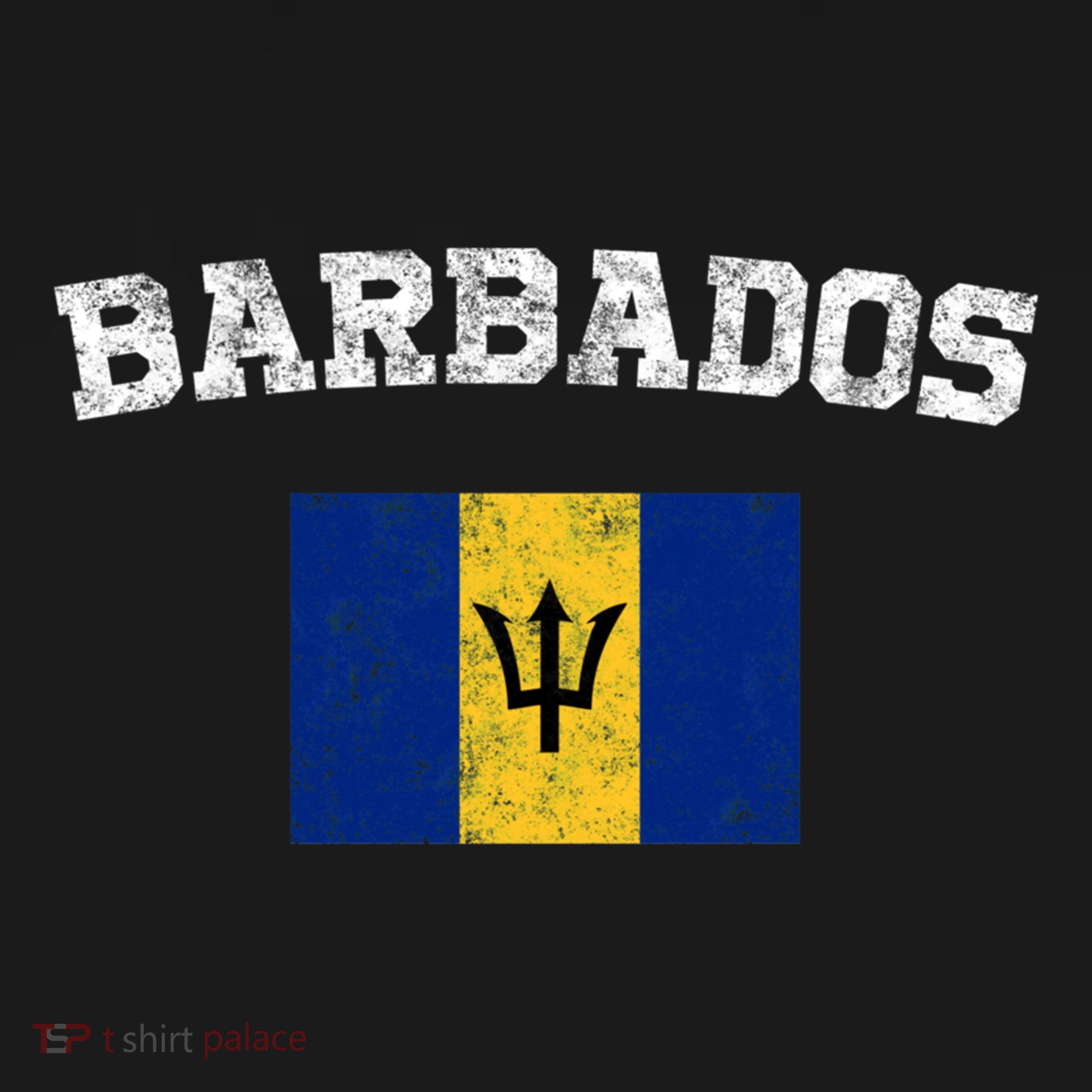 Barbadian Flag Vintage Barbados T-Shirt