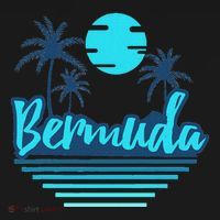 Bermuda Family Vacation Trip Travel Ornament thumb 1