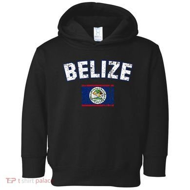 Belize Flag Vintage Belize Toddler Hoodie