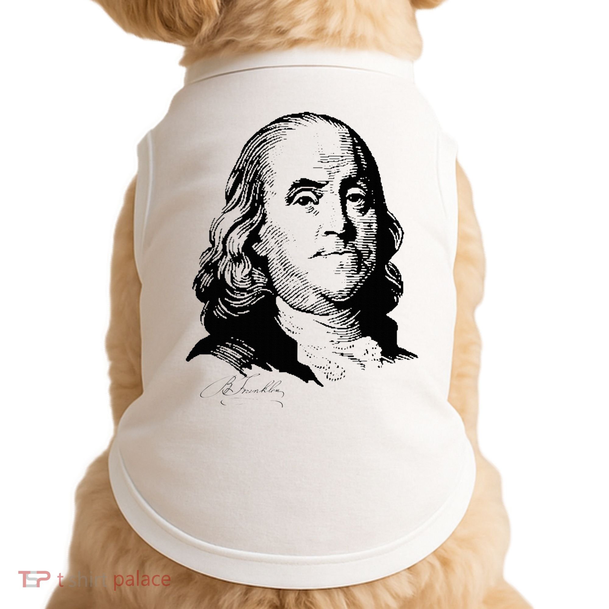 Benjamin Franklin We The People Constitution  Doggie Tank