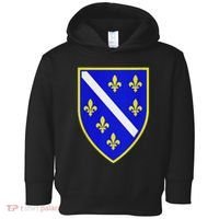 Bosnian Flag With Lily Toddler Hoodie thumb 0