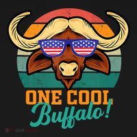 Buffalo Gifts Apparel Souvenirs Usa Flag Sports Tailgating Women's Hoodie thumb 2