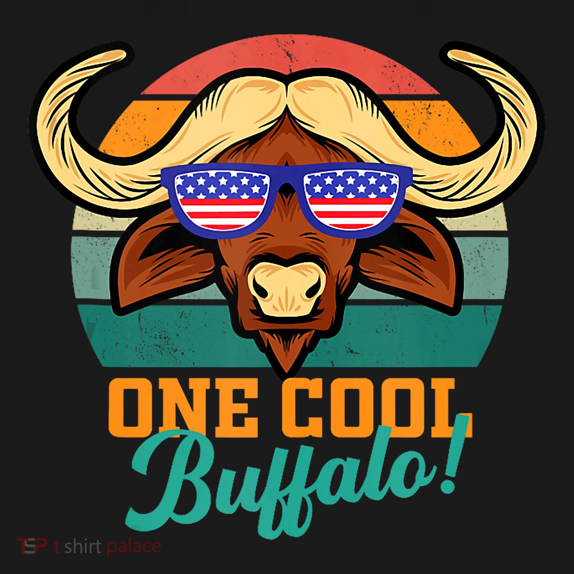 Buffalo Gifts Apparel Souvenirs Usa Flag Sports Tailgating Women's Hoodie