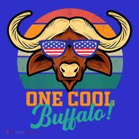 Buffalo Gifts Apparel Souvenirs Usa Flag Sports Tailgating T-Shirt thumb 7