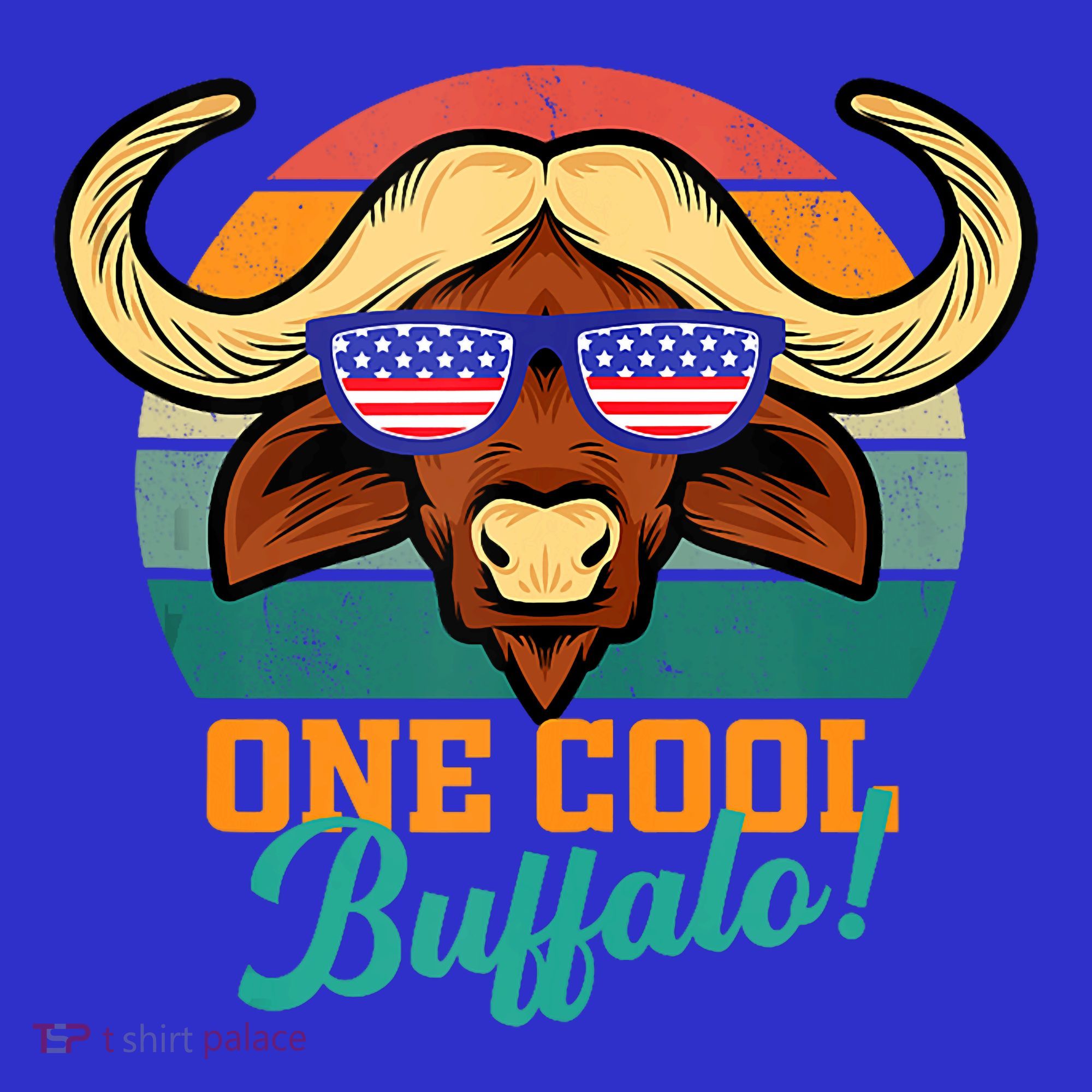 Buffalo Gifts Apparel Souvenirs Usa Flag Sports Tailgating Women's Tank Top