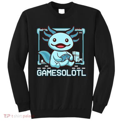 Boy Gamesolotl Axolotl Video Gamer Funny Gaming Sweatshirt