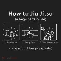 Bjj Gifts Beginner Jiu Jitsu Guide Funny Brazilian Jiu Jitsu Women's Sweatshirt thumb 2