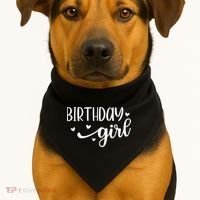 Birthday Girl USA-Made Doggie Bandana thumb 1