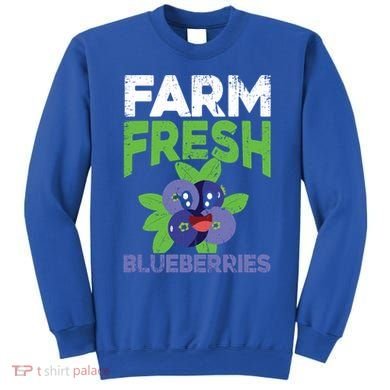 Blueberries Graphics Blueberry Lover Farmer Blueberry Fruit Cool Gift Sweatshirt