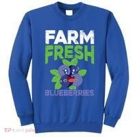 Blueberries Graphics Blueberry Lover Farmer Blueberry Fruit Cool Gift Sweatshirt thumb 0
