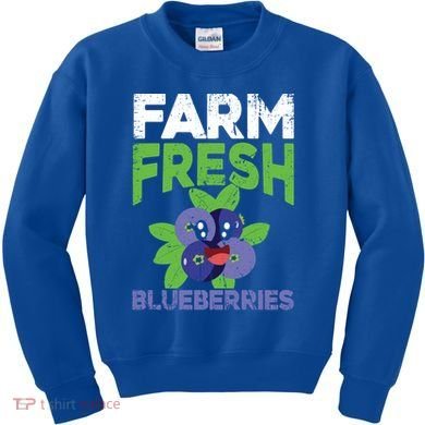 Blueberries Graphics Blueberry Lover Farmer Blueberry Fruit Cool Gift Kids Sweatshirt