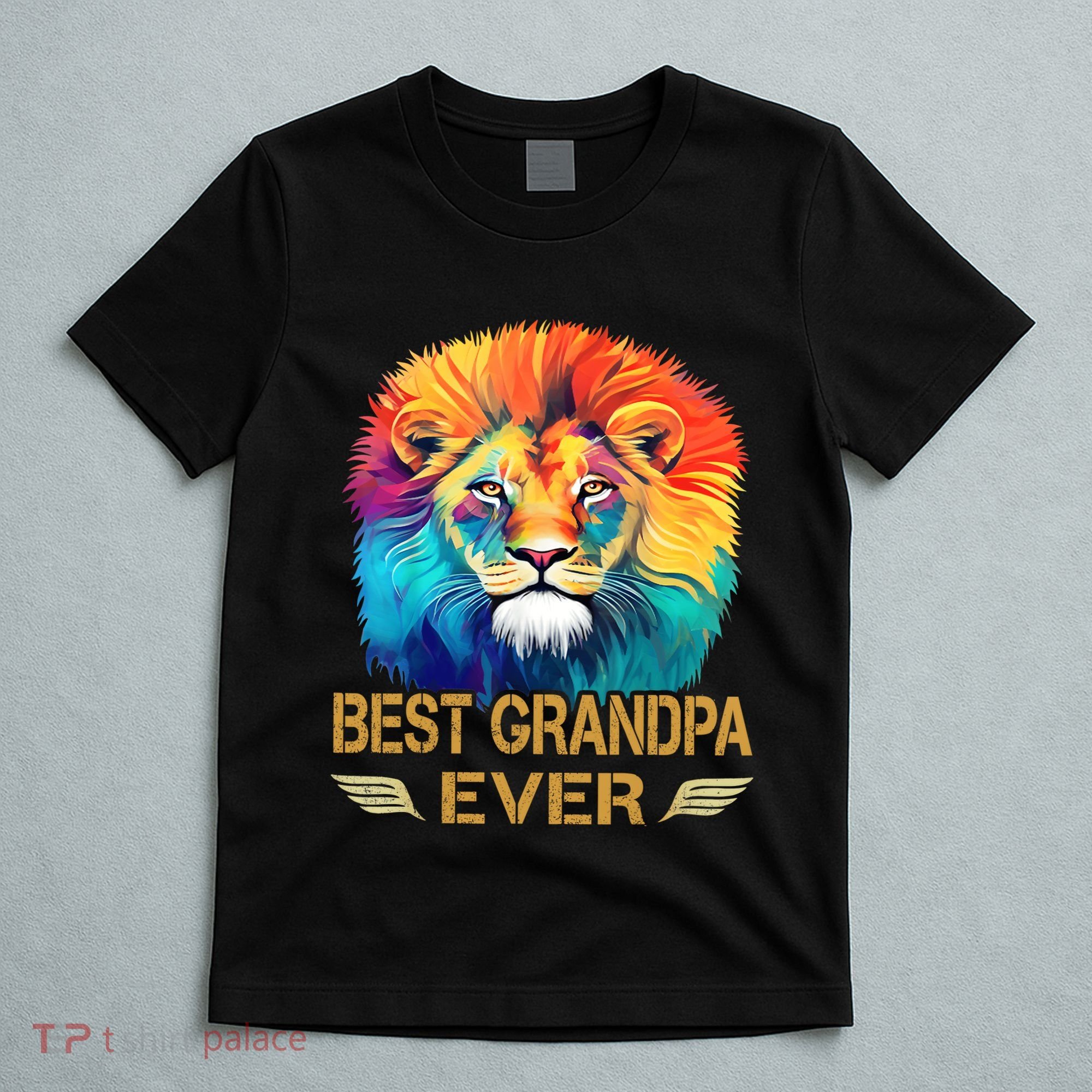 Best Grandpa Ever Funny Fathers Day Gift For Dad T-Shirt