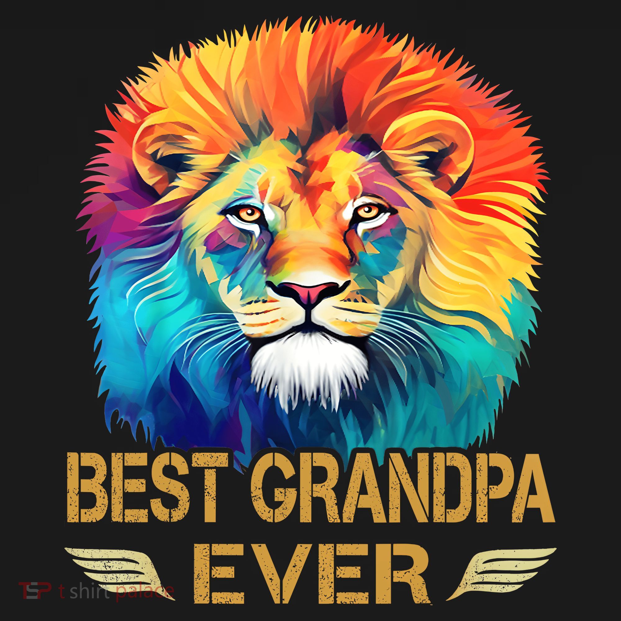 Best Grandpa Ever Funny Fathers Day Gift For Dad T-Shirt