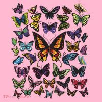 Butterfly Gift For Men Women Butterfly Lover Collection Coaster thumb 2