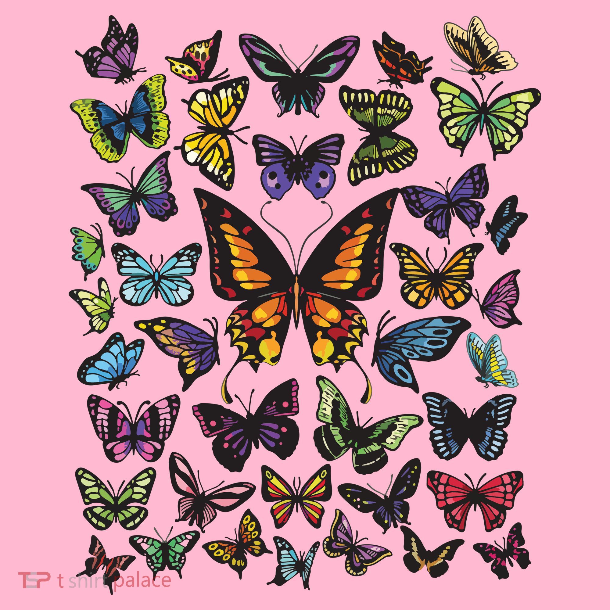 Butterfly Gift For Men Women Butterfly Lover Collection Coaster