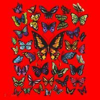 Butterfly Gift For Men Women Butterfly Lover Collection Santa Hat thumb 1