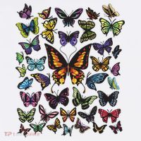 Butterfly Gift For Men Women Butterfly Lover Collection Beanie thumb 2