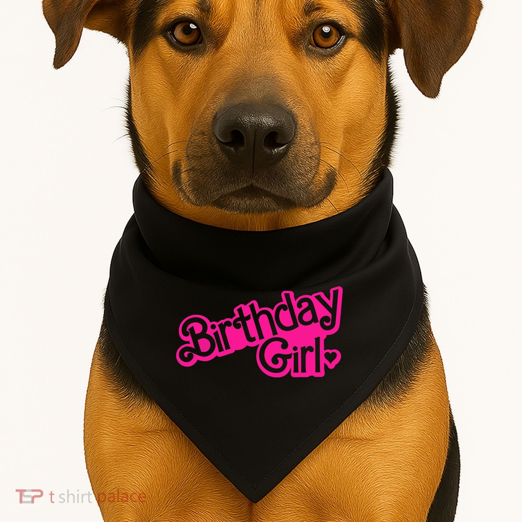 Birthday Girl Funny Birthday USA-Made Doggie Bandana