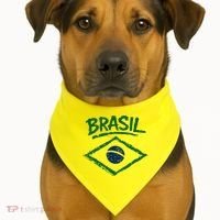Brasil Graphic Fag Soccer Lovers And Fans USA-Made Doggie Bandana thumb 1