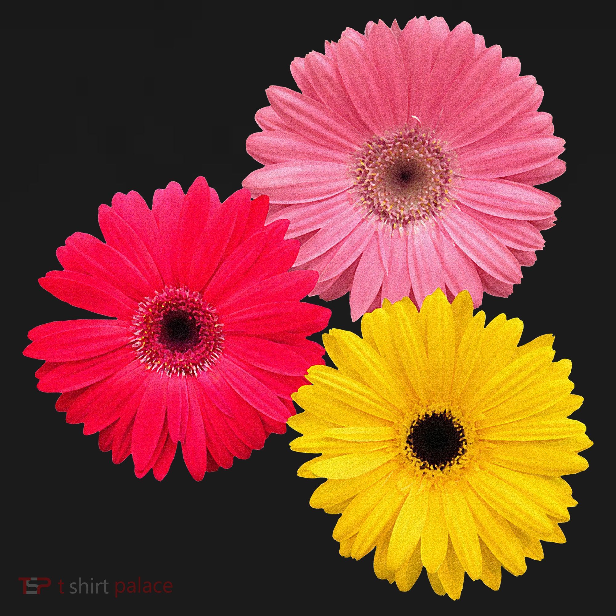 Blooming Gerbera Flower Daisies Gerberas Daisy Flowery Apron