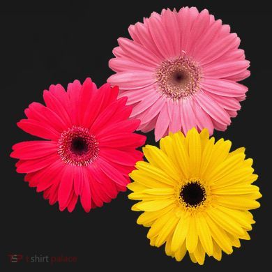 Blooming Gerbera Flower Daisies Gerberas Daisy Flowery Flat Bill Trucker Hat