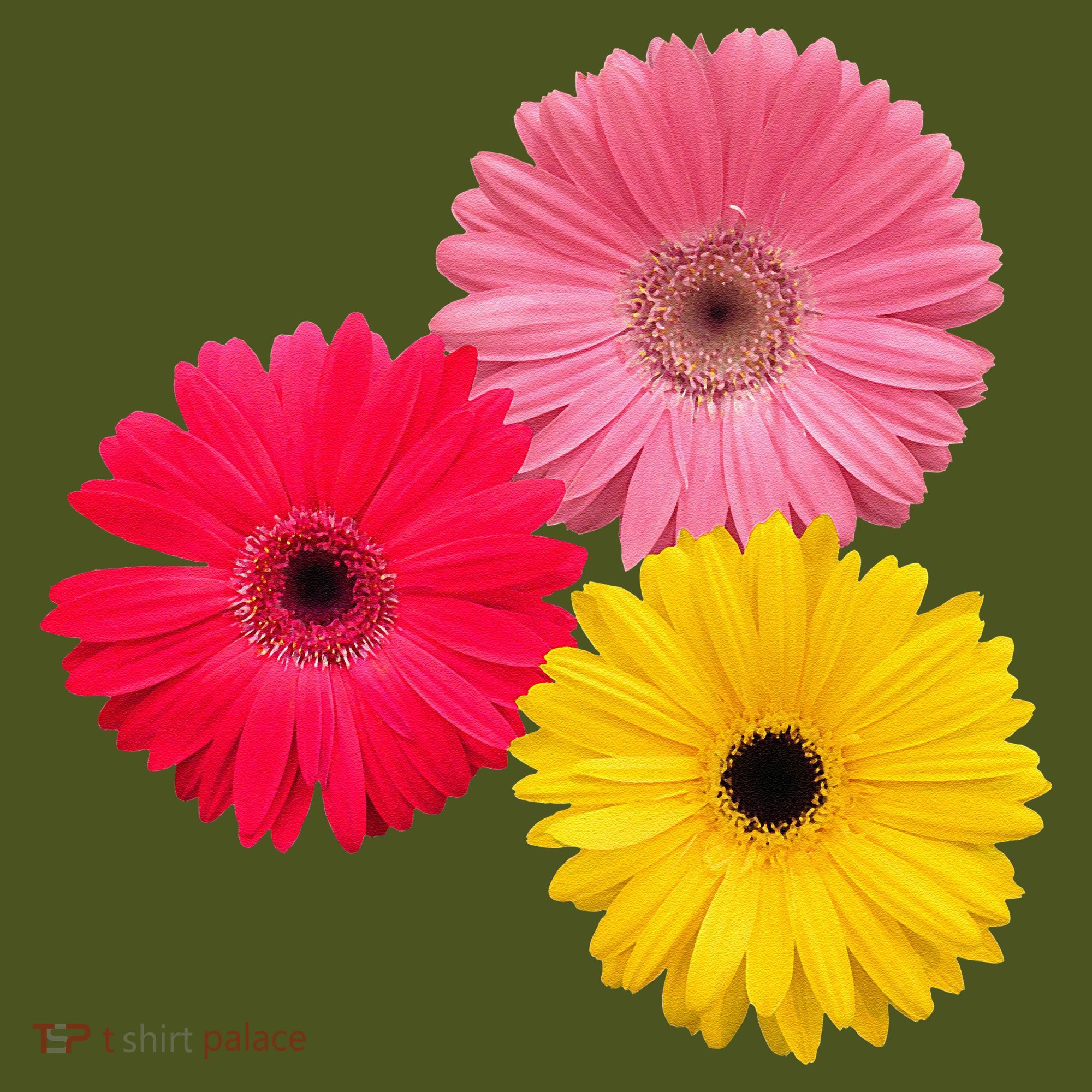 Blooming Gerbera Flower Daisies Gerberas Daisy Flowery The Baniff Cuffed Pom Beanie